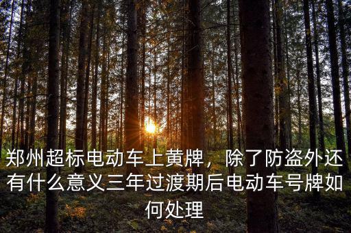 鄭州超標(biāo)電動(dòng)車上黃牌，除了防盜外還有什么意義三年過(guò)渡期后電動(dòng)車號(hào)牌如何處理