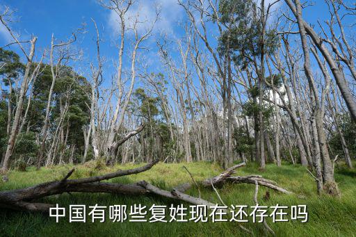 中國有哪些復姓現在還存在嗎