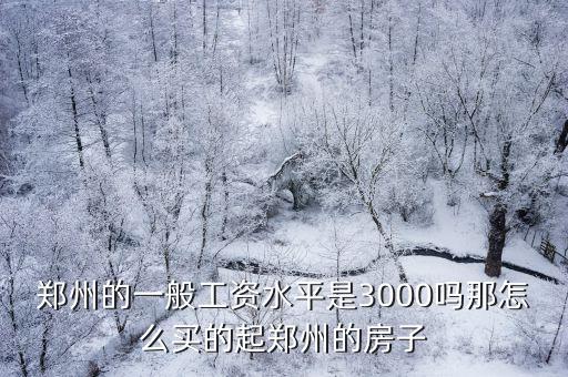 鄭州的一般工資水平是3000嗎那怎么買的起鄭州的房子