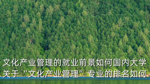 文化產(chǎn)業(yè)管理的就業(yè)前景如何國(guó)內(nèi)大學(xué)關(guān)于“文化產(chǎn)業(yè)管理”專業(yè)的排名如何