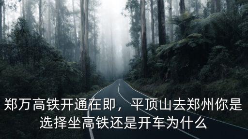 鄭萬高鐵開通在即，平頂山去鄭州你是選擇坐高鐵還是開車為什么
