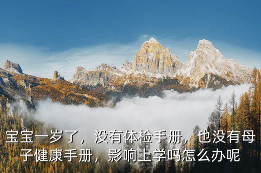 焦作母子健康手冊怎么辦,如何補辦母子健康手冊