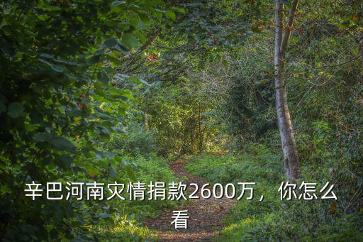 辛巴河南災情捐款2600萬，你怎么看