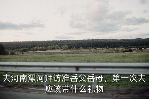 去河南漯河拜訪準(zhǔn)岳父岳母，第一次去應(yīng)該帶什么禮物