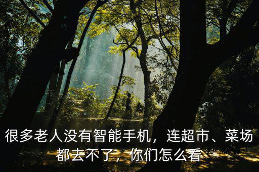 很多老人沒有智能手機，連超市、菜場都去不了，你們怎么看