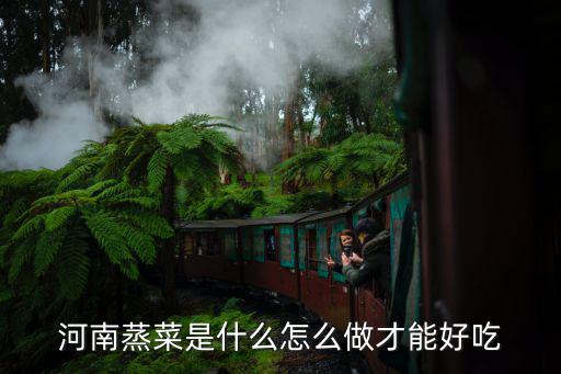 河南蒸菜是什么怎么做才能好吃
