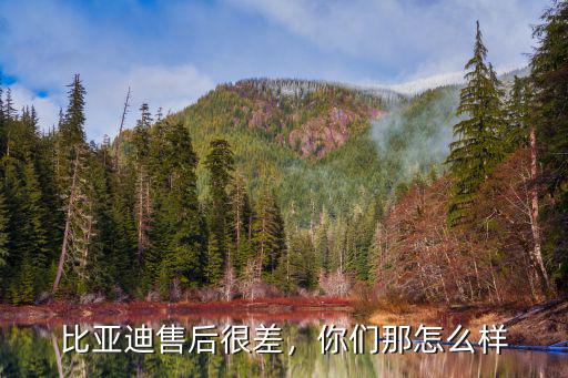 比亞迪售后很差，你們那怎么樣