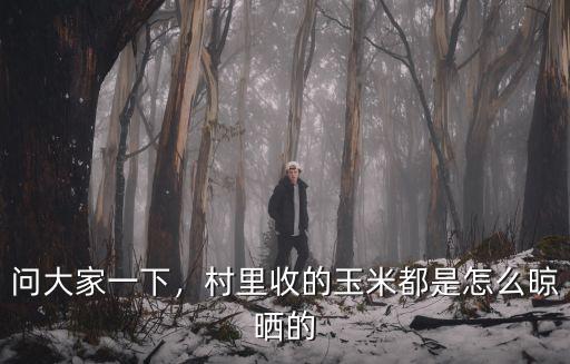 問大家一下，村里收的玉米都是怎么晾曬的