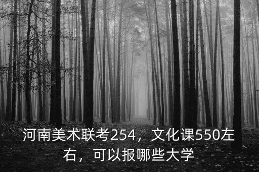 河南美術聯考254，文化課550左右，可以報哪些大學