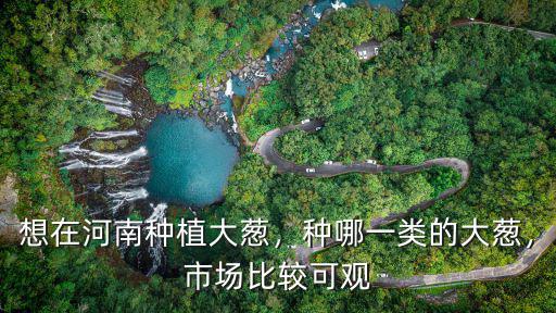 想在河南種植大蔥，種哪一類的大蔥，市場比較可觀