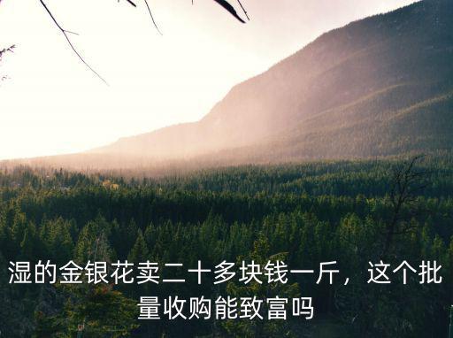 濕的金銀花賣二十多塊錢一斤，這個批量收購能致富嗎