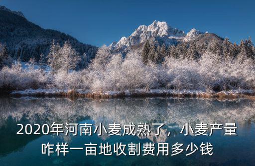2020年河南小麥成熟了，小麥產(chǎn)量咋樣一畝地收割費(fèi)用多少錢(qián)