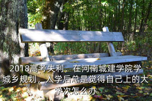 2018高考失利，在河南城建學(xué)院學(xué)城鄉(xiāng)規(guī)劃，入學(xué)后總是覺得自己上的大學(xué)次怎么辦