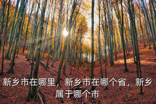 乾隆在新鄉哪里,新鄉市在哪里