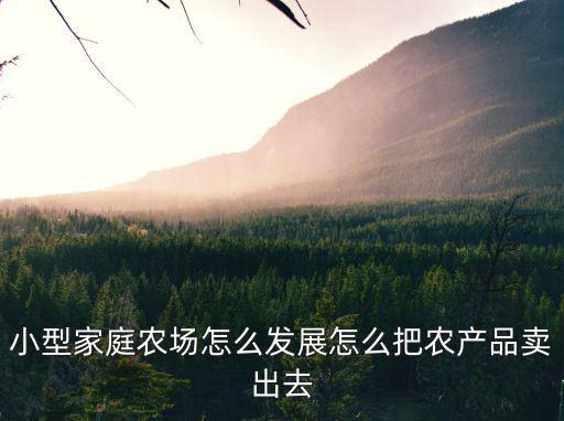 小型家庭農場怎么發展怎么把農產品賣出去