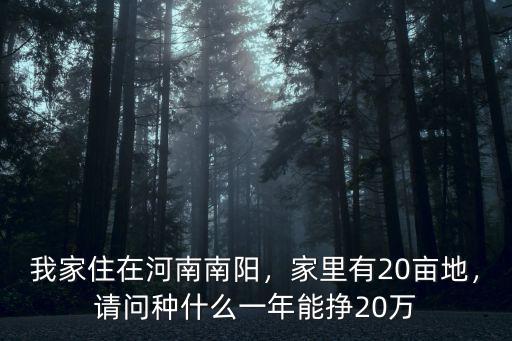 南陽種稻谷效益怎么樣,種植水稻效益如何