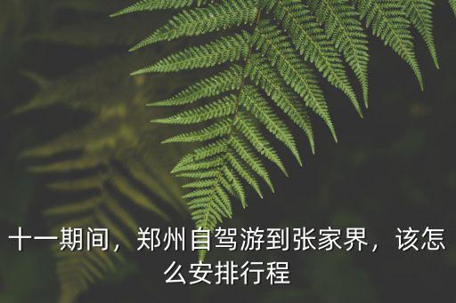 十一期間，鄭州自駕游到張家界，該怎么安排行程