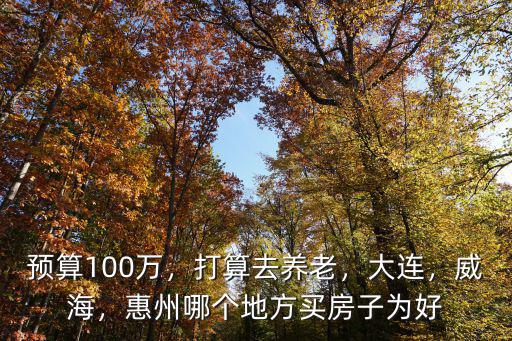 預算100萬，打算去養老，大連，威海，惠州哪個地方買房子為好