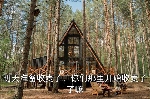 河南哪里有收青麥子了,你們那里開(kāi)始收麥子了嘛