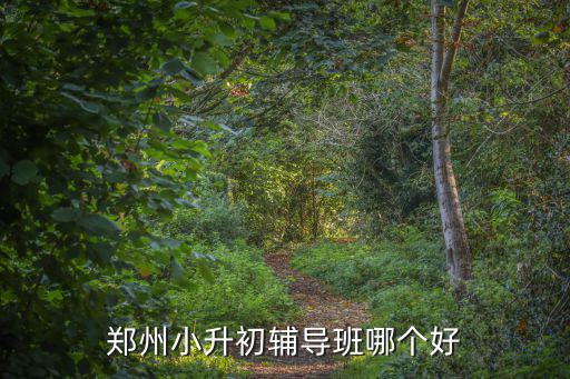 鄭州小升初輔導班哪個好