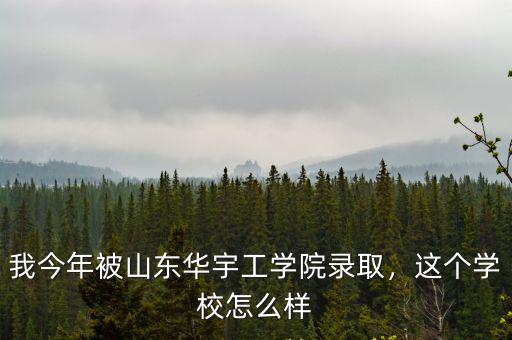我今年被山東華宇工學院錄取，這個學校怎么樣