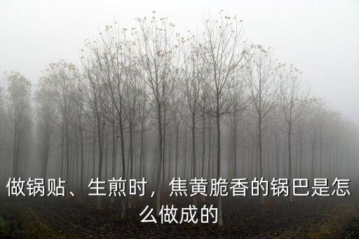 開封鍋貼怎么做視頻,青島鍋貼是怎么做的