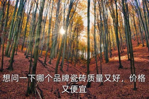 想問一下哪個(gè)品牌瓷磚質(zhì)量又好，價(jià)格又便宜