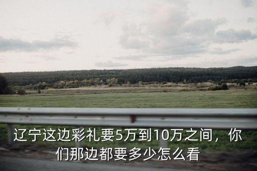 遼寧這邊彩禮要5萬到10萬之間，你們那邊都要多少怎么看
