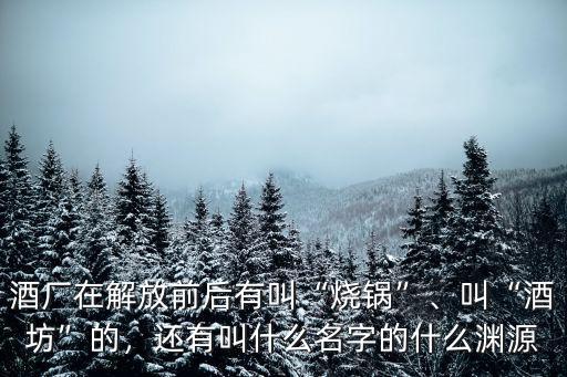 濮陽市有多少家酒廠都叫什么名字,還有叫什么名字的
