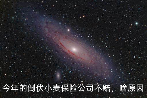 周口小麥倒伏多少,小麥什么時間防倒伏最好