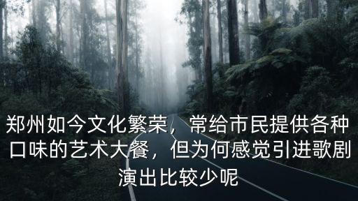 鄭州如今文化繁榮，常給市民提供各種口味的藝術大餐，但為何感覺引進歌劇演出比較少呢