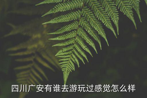 河南廣安 怎么樣,廣安市怎么樣