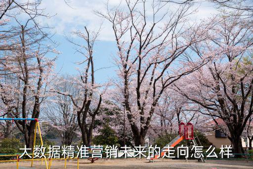 大數(shù)據(jù)精準(zhǔn)營銷未來的走向怎么樣
