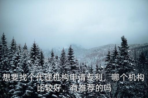 想要找個代理機構申請專利，哪個機構比較好，有推薦的嗎