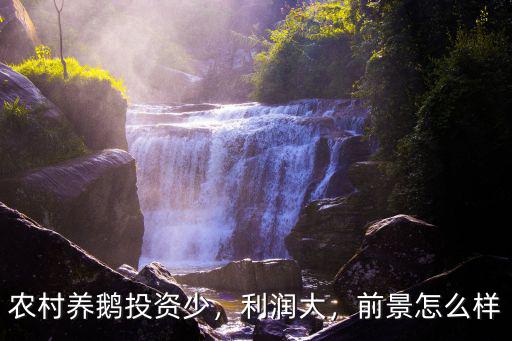 河南養鵝前景怎么樣,其前景怎么樣