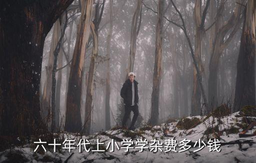 六十年代上小學學雜費多少錢