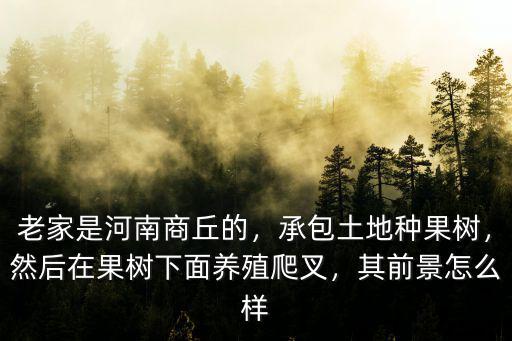 河南香樟怎么樣,樟樹怎么樣種植