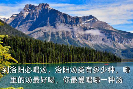 到洛陽必喝湯，洛陽湯類有多少種，哪里的湯最好喝，你最愛喝哪一種湯