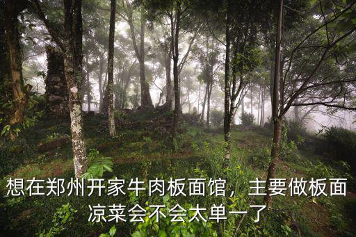 想在鄭州開家牛肉板面館，主要做板面涼菜會不會太單一了