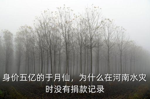 身價五億的于月仙，為什么在河南水災時沒有捐款記錄