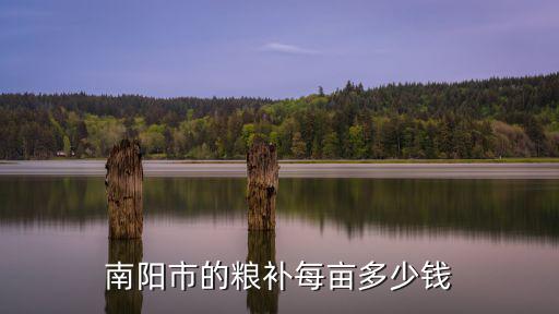 南陽市農(nóng)村人口有多少錢,南陽市的糧補每畝多少錢