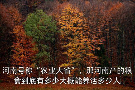 河南一恒網業怎么樣,河南濮陽怎么樣