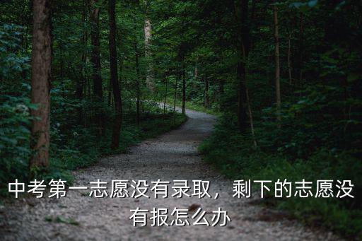 中考第一志愿沒有錄取，剩下的志愿沒有報怎么辦