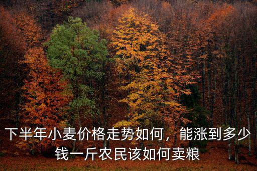下半年小麥價格走勢如何，能漲到多少錢一斤農民該如何賣糧