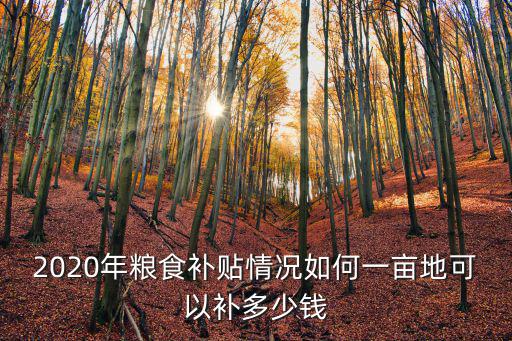2020年糧食補貼情況如何一畝地可以補多少錢