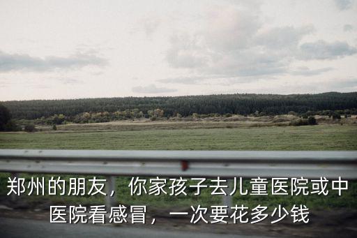 鄭州的朋友，你家孩子去兒童醫院或中醫院看感冒，一次要花多少錢