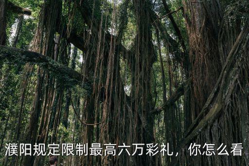 濮陽規定限制最高六萬彩禮，你怎么看