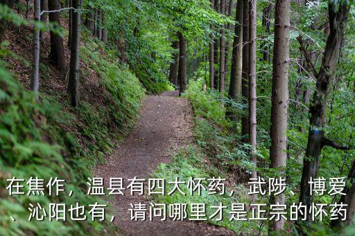 焦作溫縣山藥在哪里,鐵棍山藥哪里出產的最好