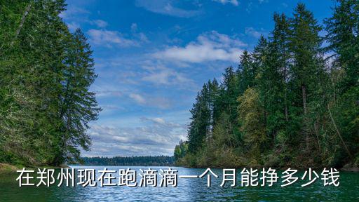 鄭州開網約車一天能跑多少,一年能掙多少