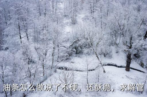 河南小油條怎么做涼了也酥脆,油條怎么做涼了不硬